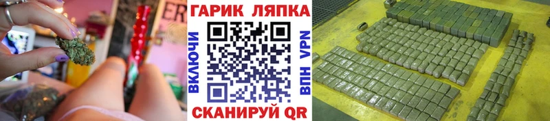 ГАШ Premium  как найти   Чернушка 