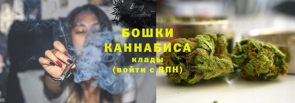 крисы Белокуриха