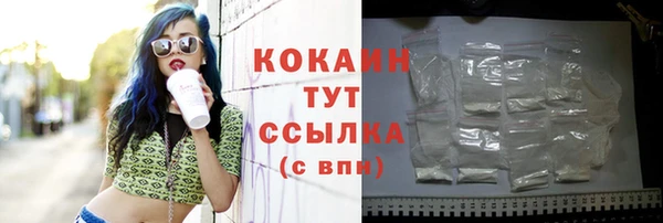 крисы Белокуриха