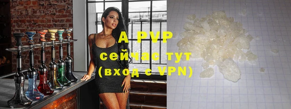 крисы Белокуриха