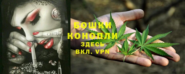 стаф Беломорск