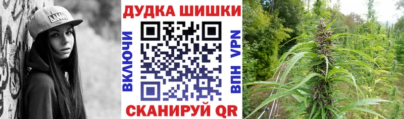 Марихуана сатива  цена наркотик  Чернушка 